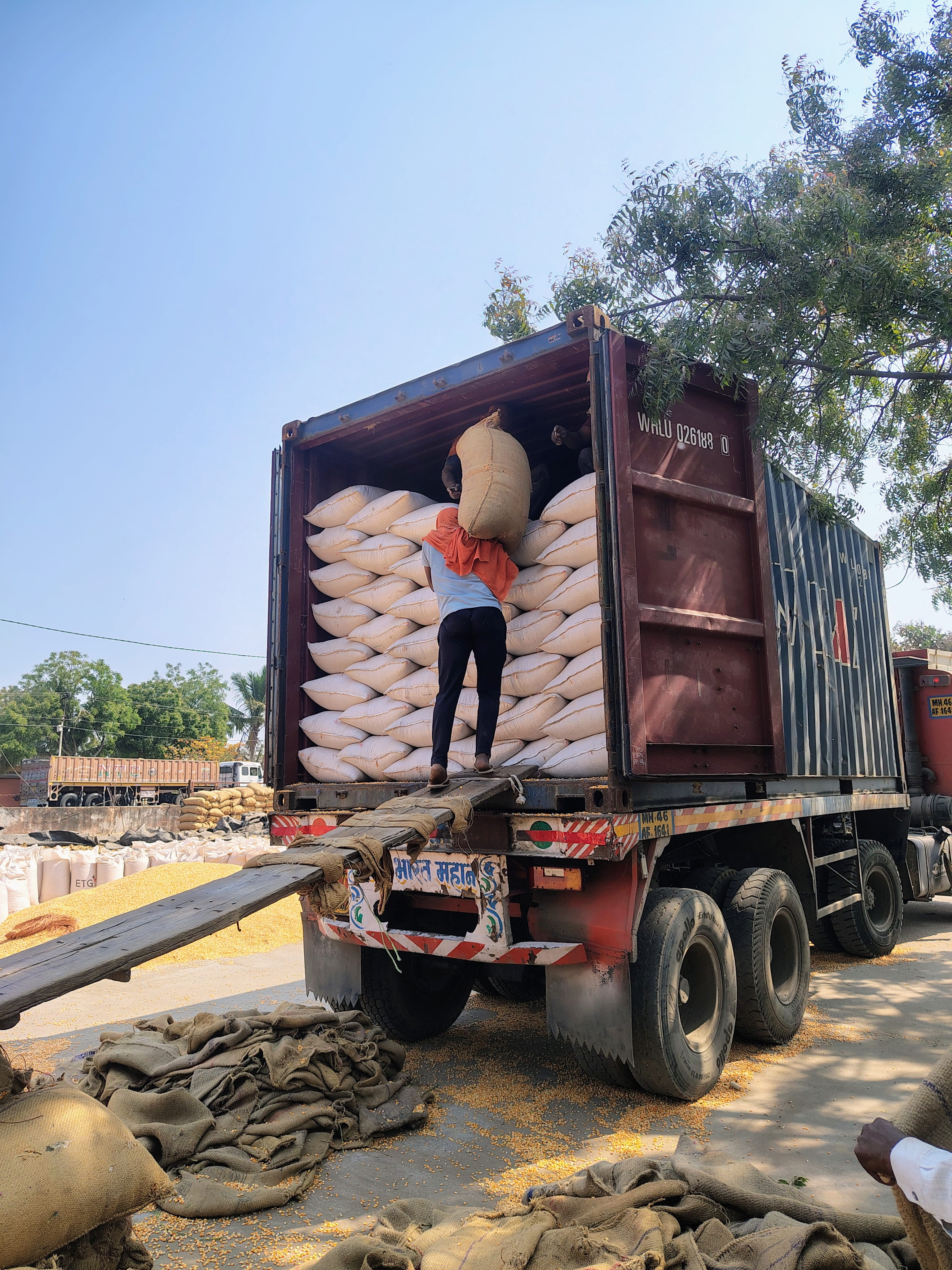 Bulk Agro Commodity Loading Truck Maharashtra