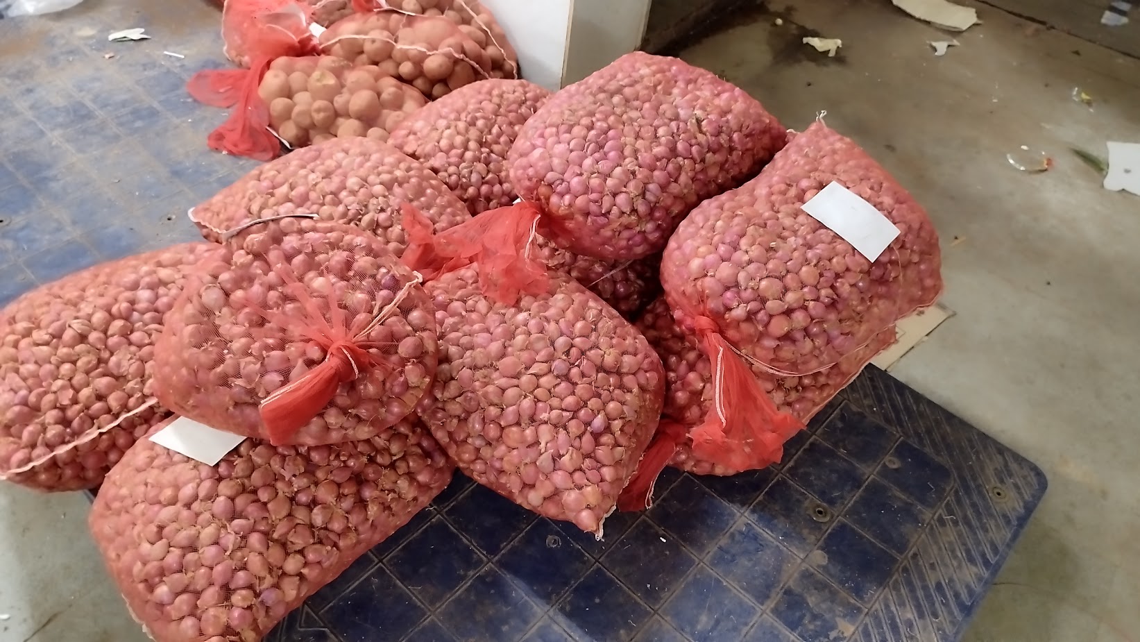 Export Quality Red Onions Mesh Packaging