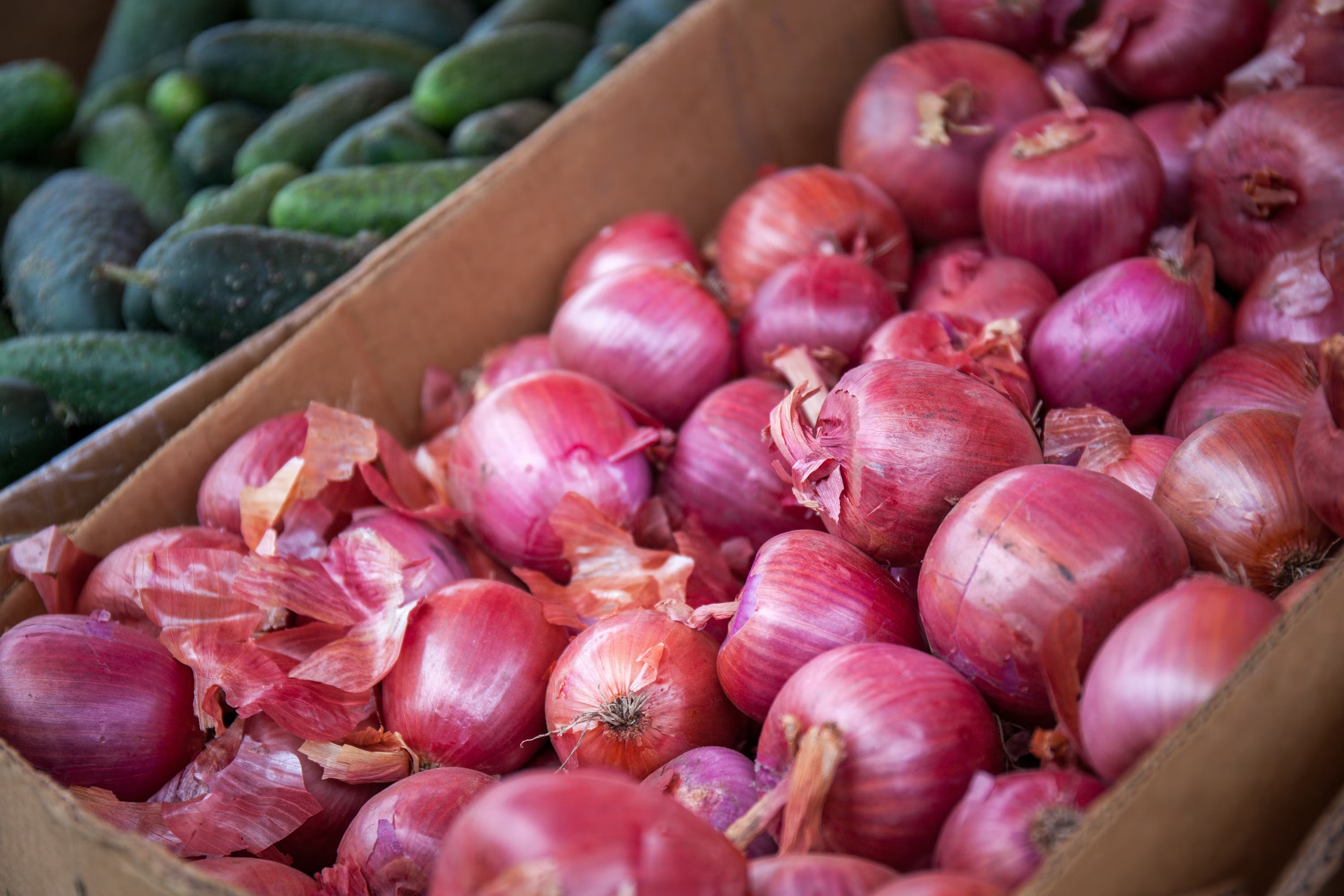 Bulk Premium Red and Pink Onions from Maharashtra